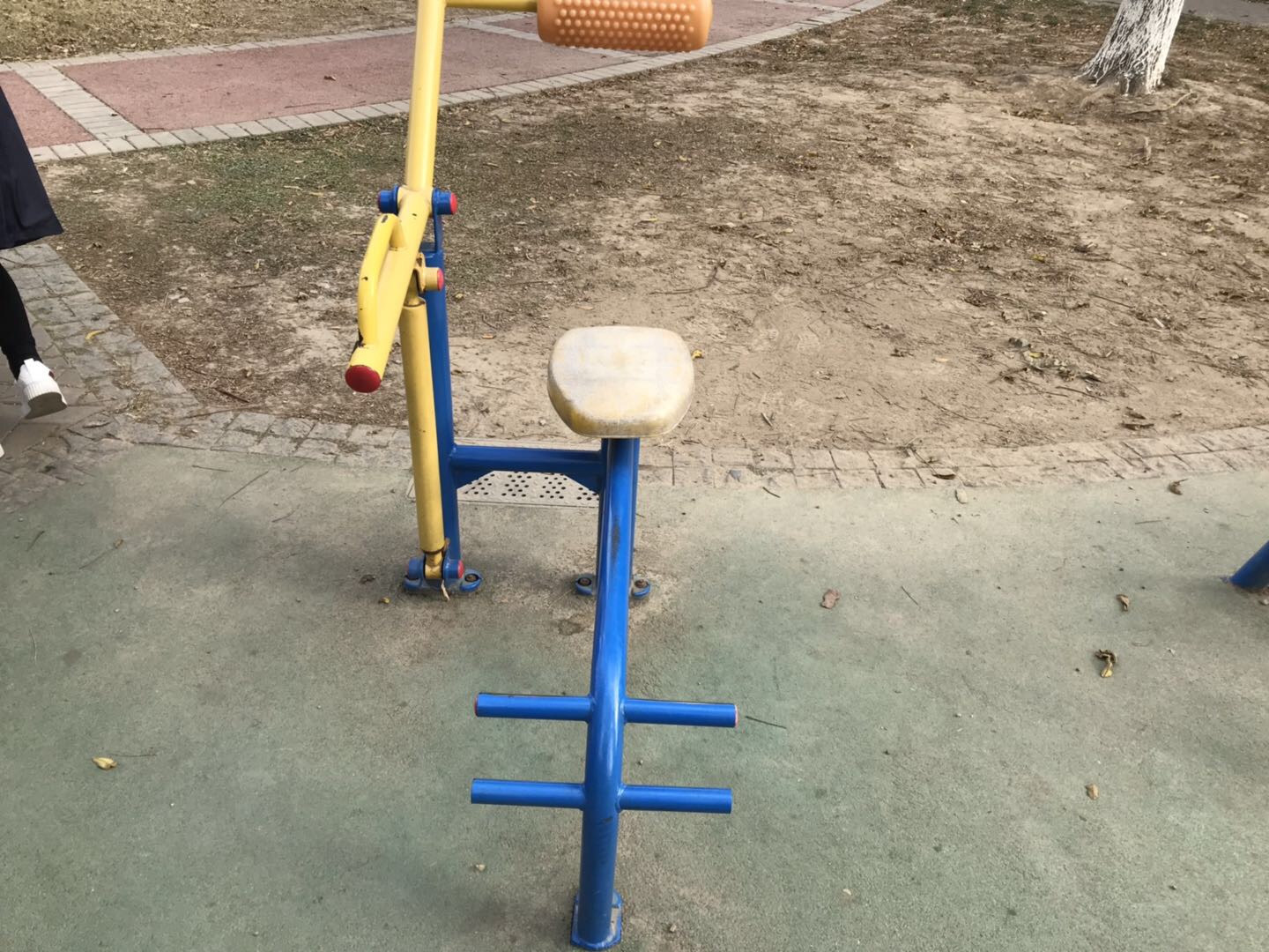 腹背鍛煉器