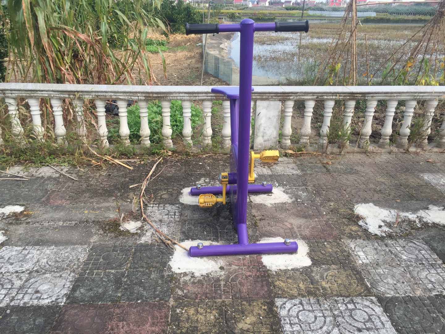 雙位健身車