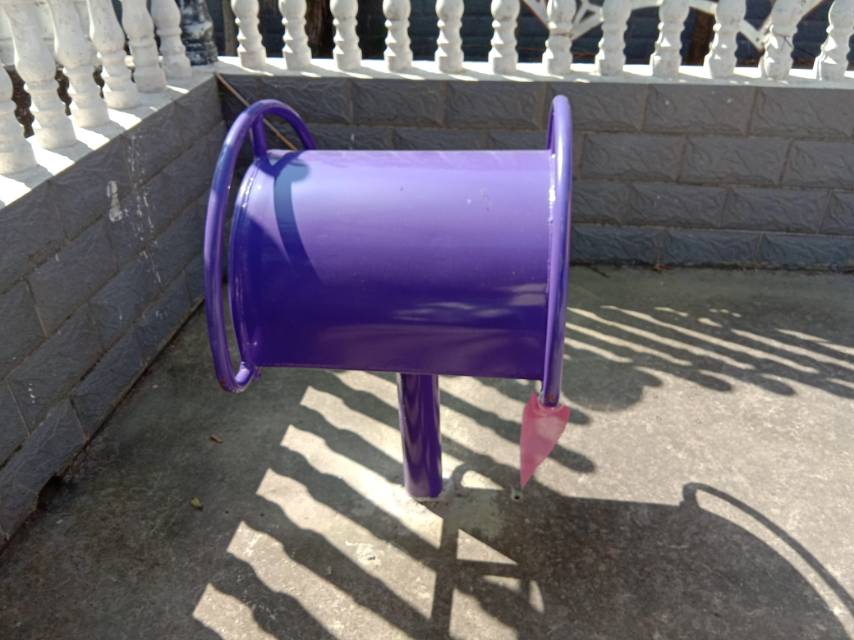 伸背器