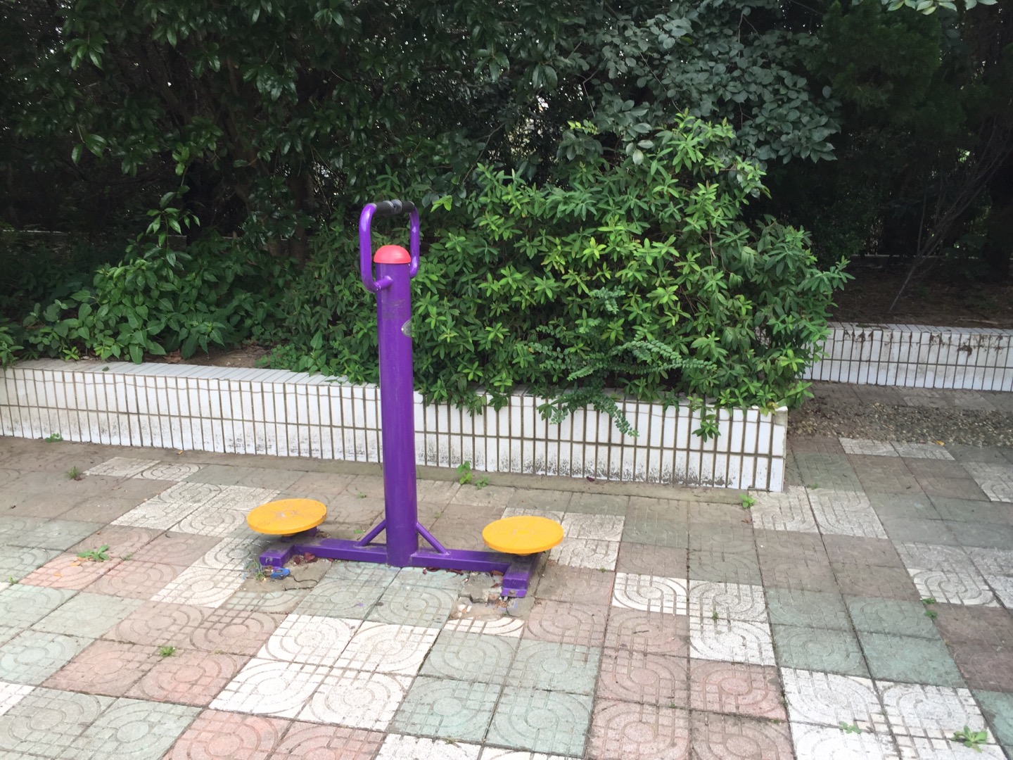 扭腰器
