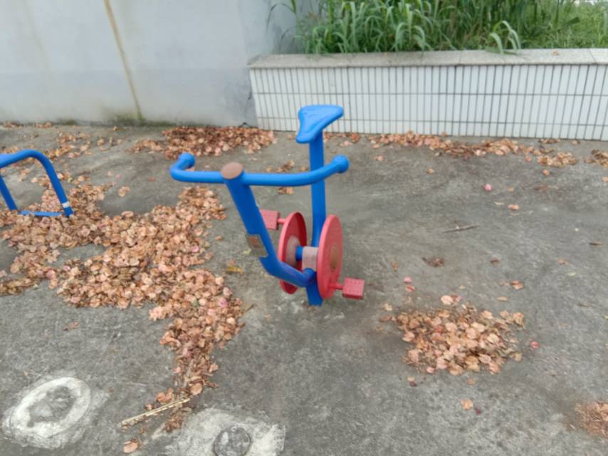 直立健身車