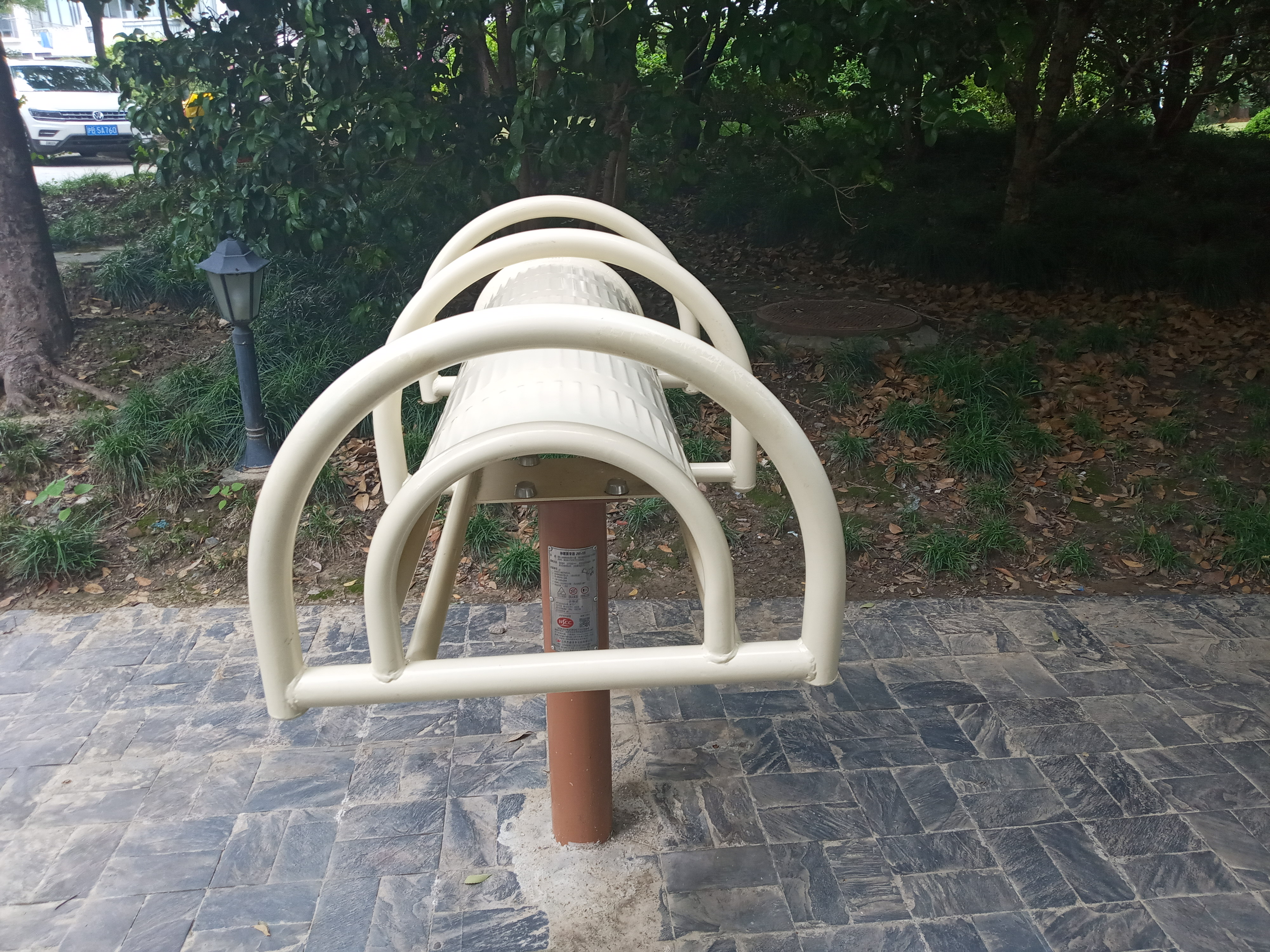 伸腰展背器