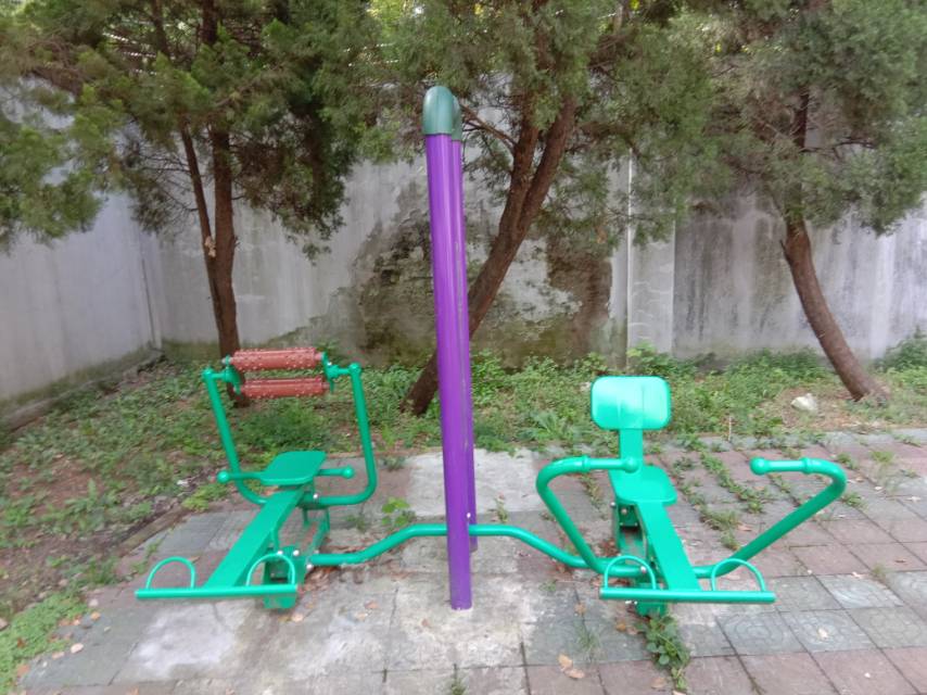 腹背屈伸/劃船訓練器