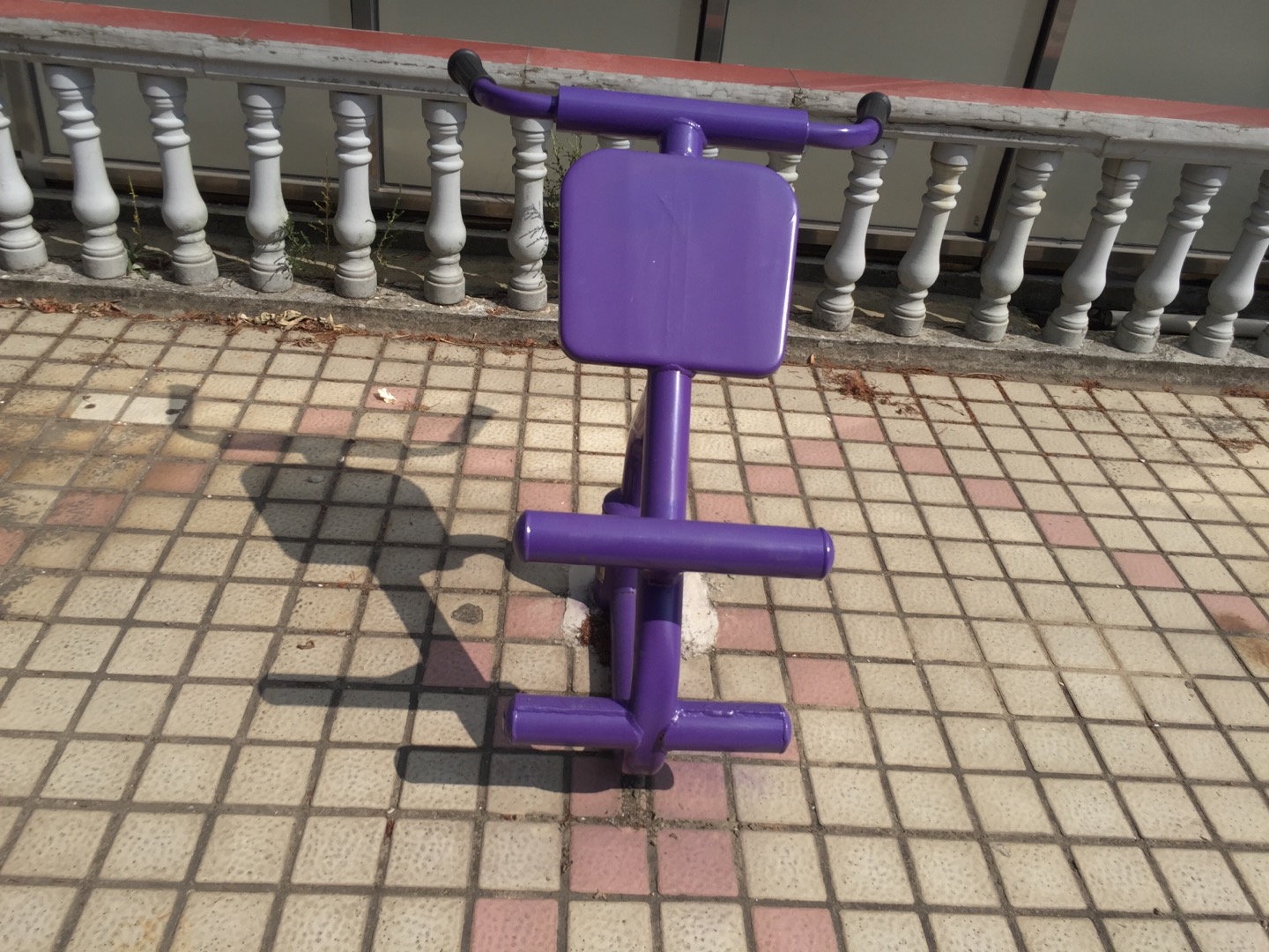 雙位健身車