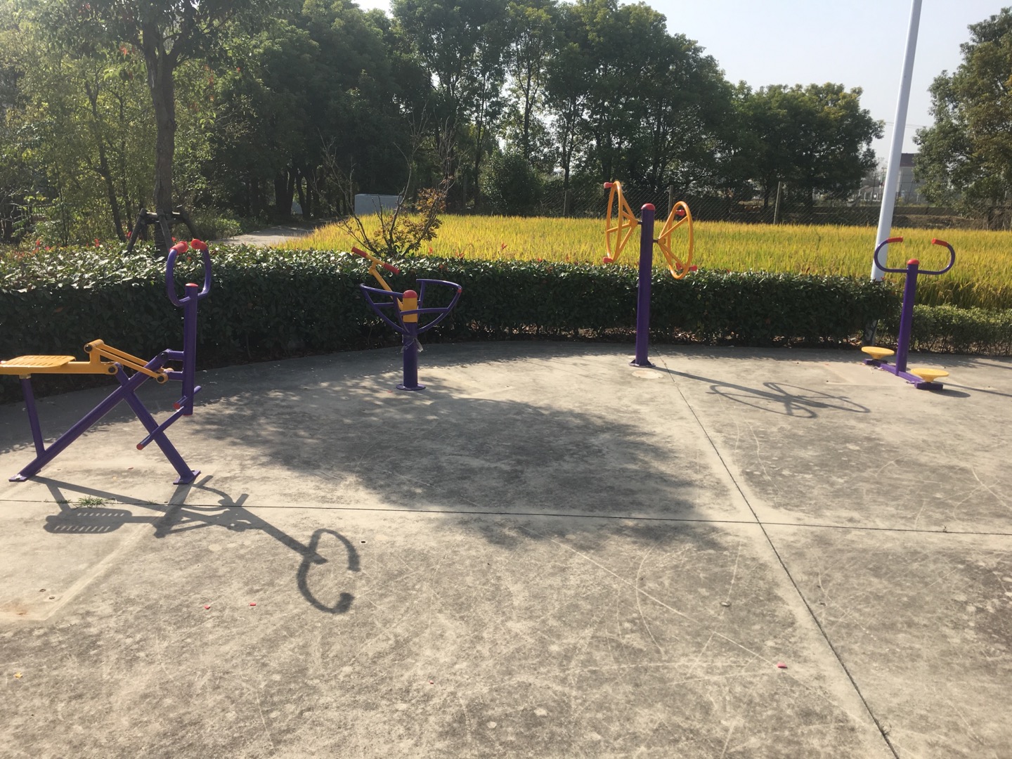 老港鎮(zhèn)成日村民委員會(huì)成日23組健身苑點(diǎn)