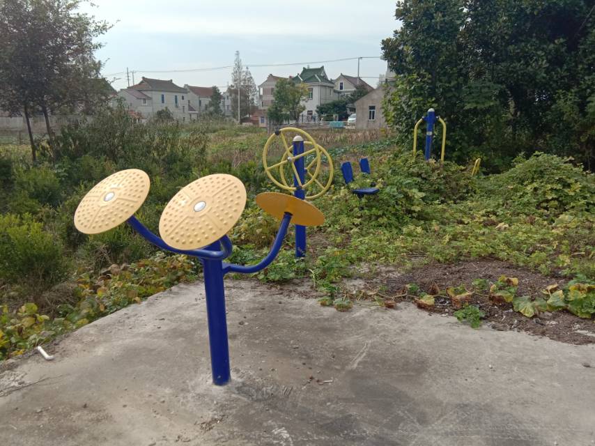崇明區(qū)中興鎮(zhèn)汲浜8隊健身點