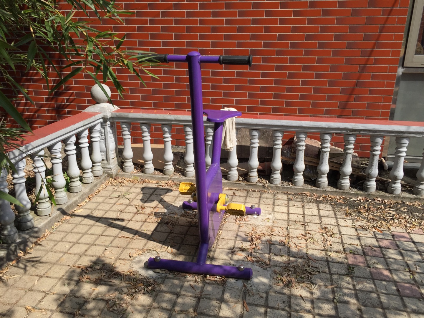 雙位健身車