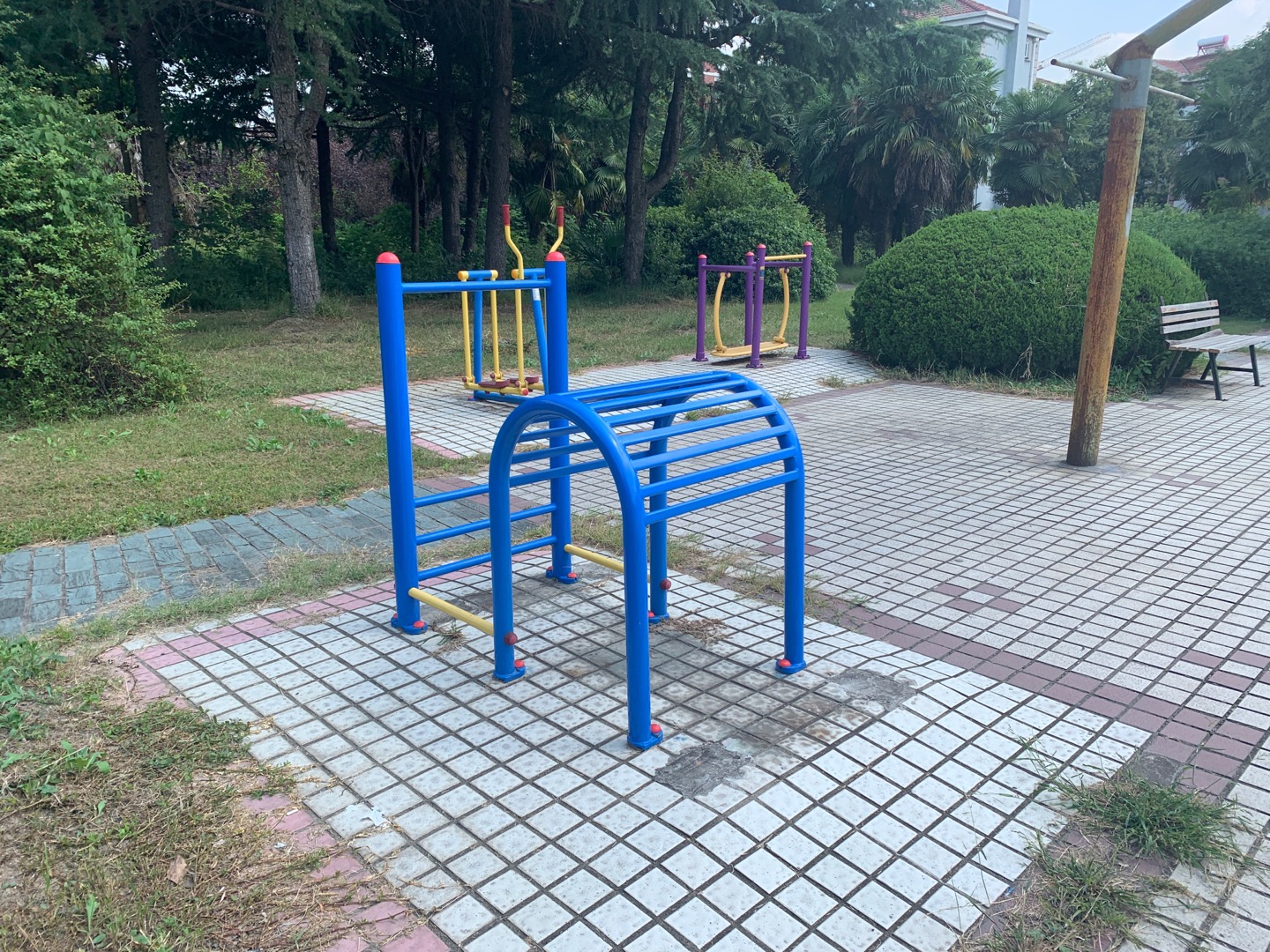 腰背伸展器