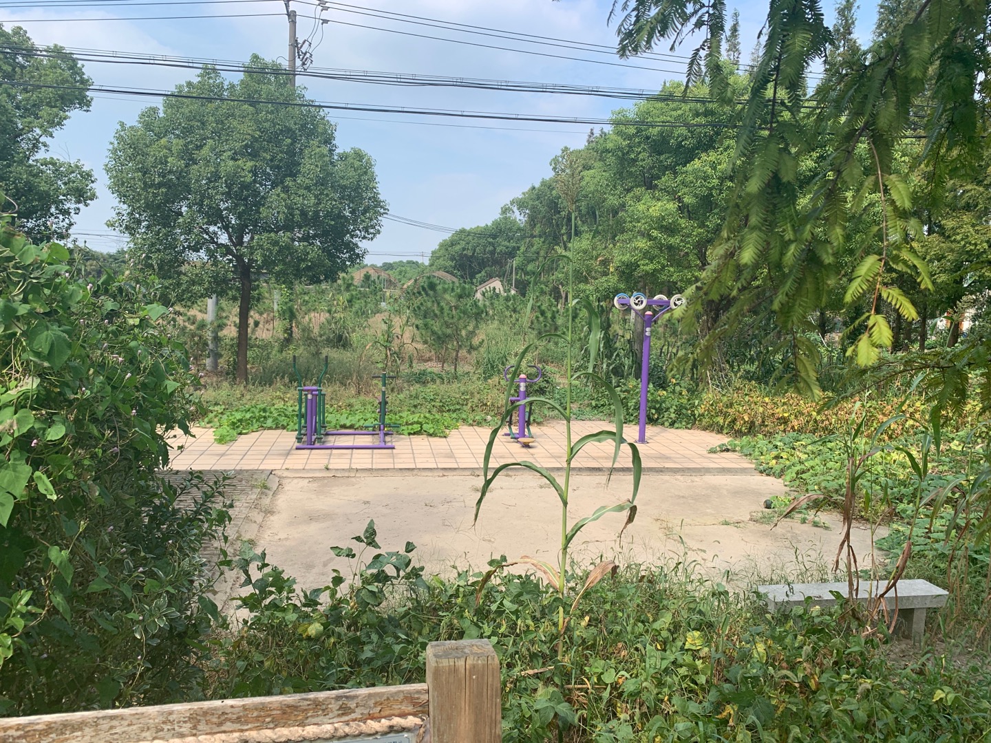 新源村15隊