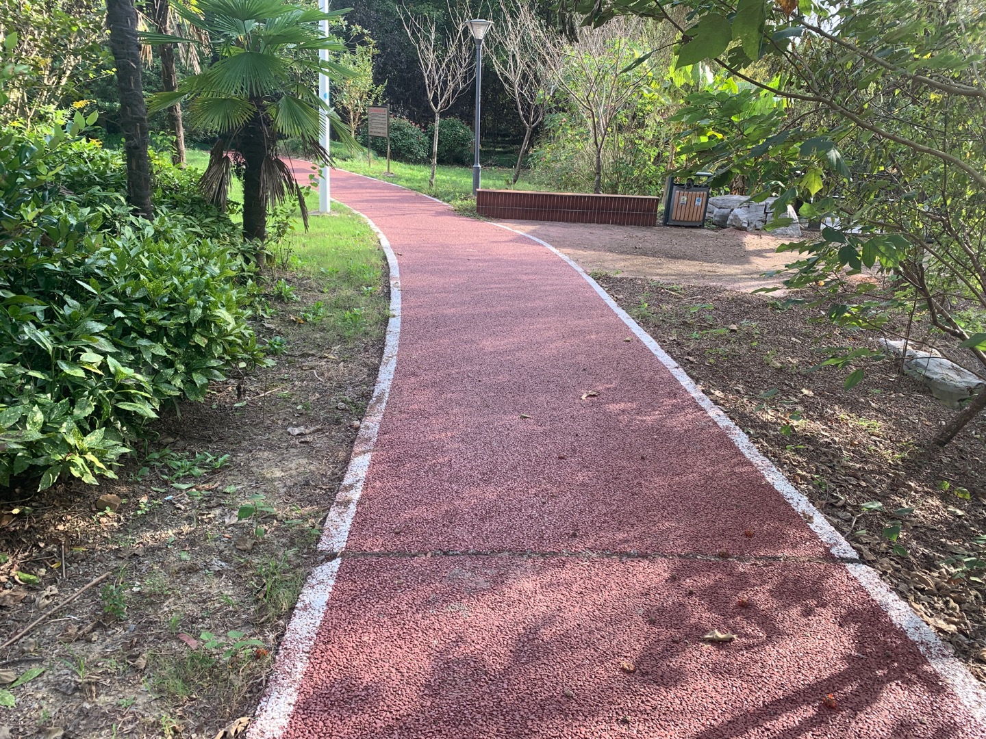 前豎林蔭步道