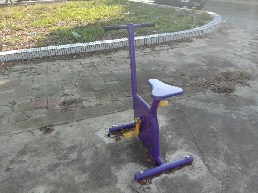 雙位健身車