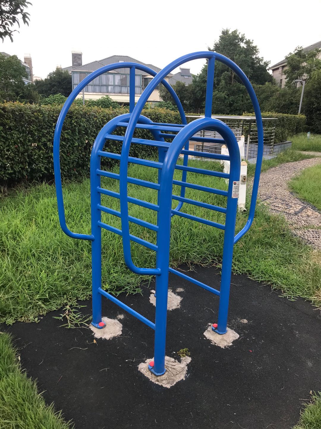 伸背器