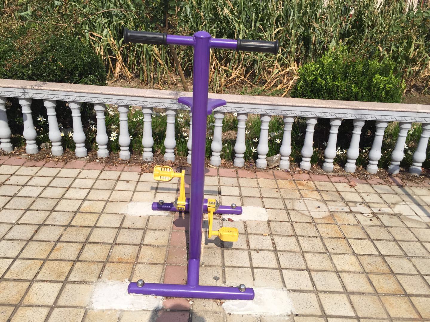 雙位健身車