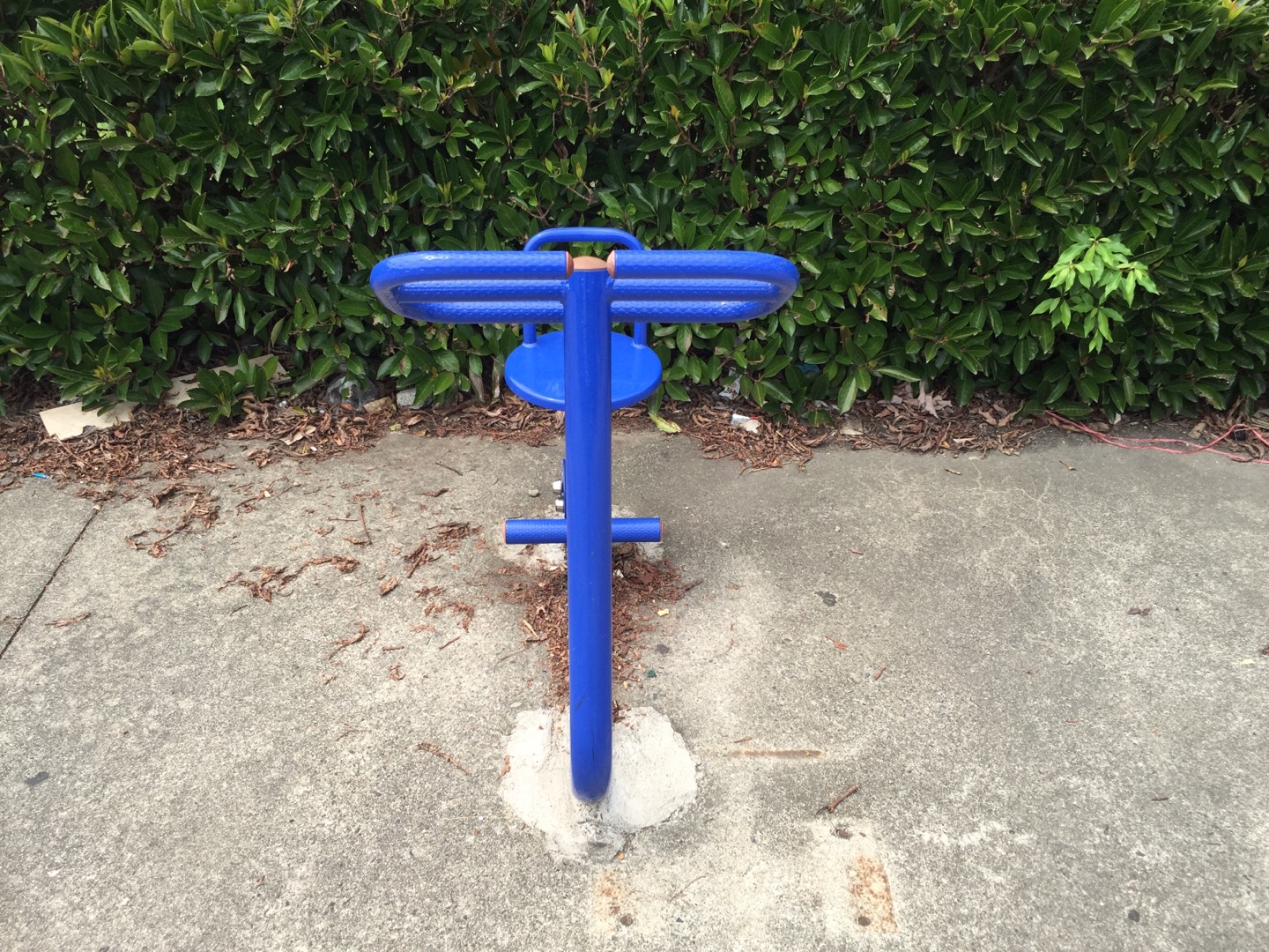 伸展器