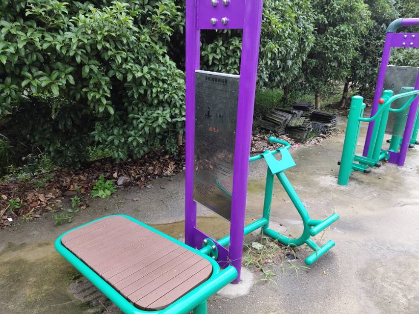 背肌/腹肌訓練器