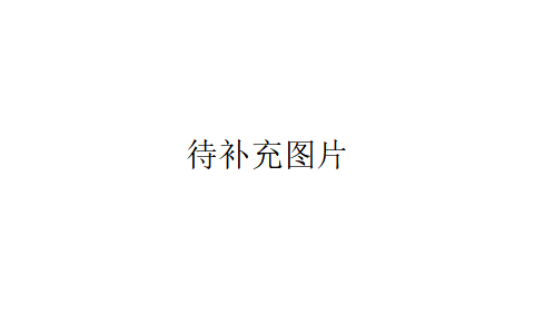 鐘擺器