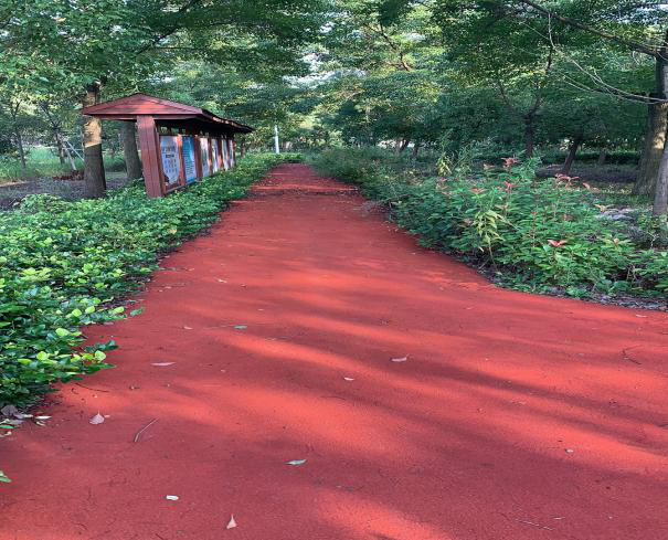 雙津村健身步道2