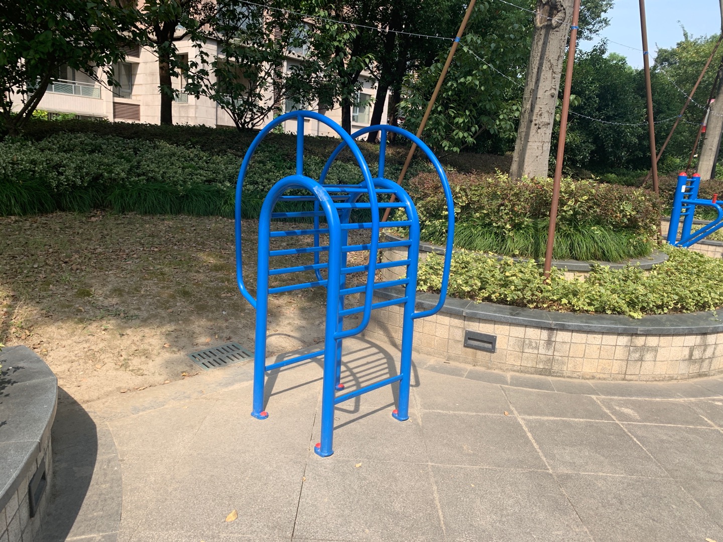 伸腰器