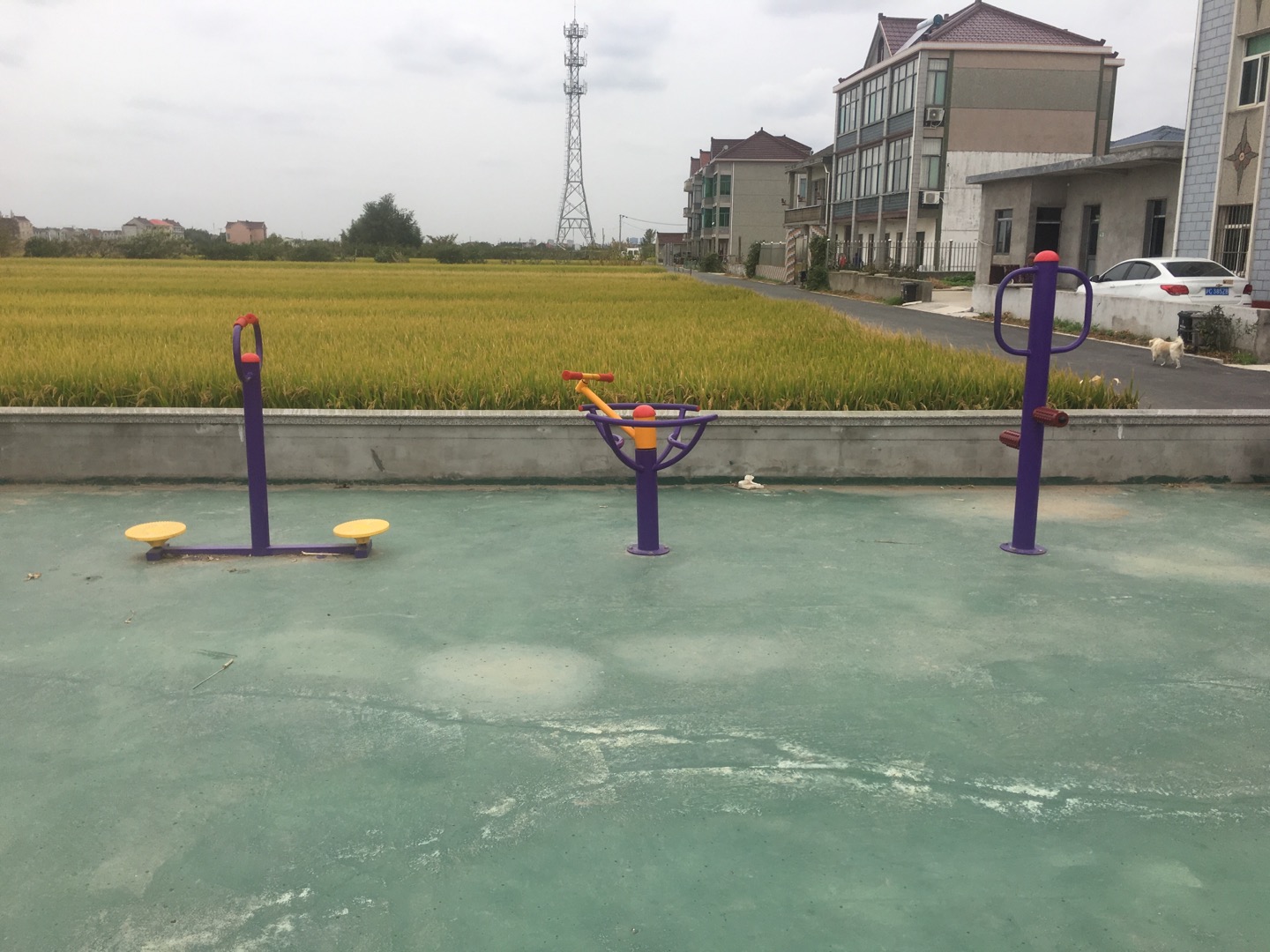 老港鎮(zhèn)建港村民委員會18組健身苑點(diǎn)
