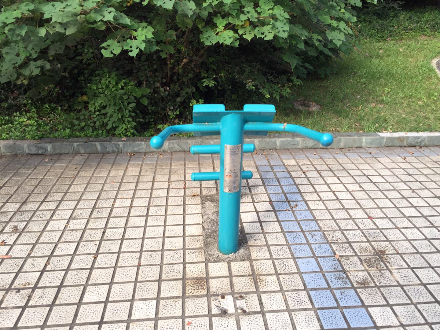 背肌訓(xùn)練器