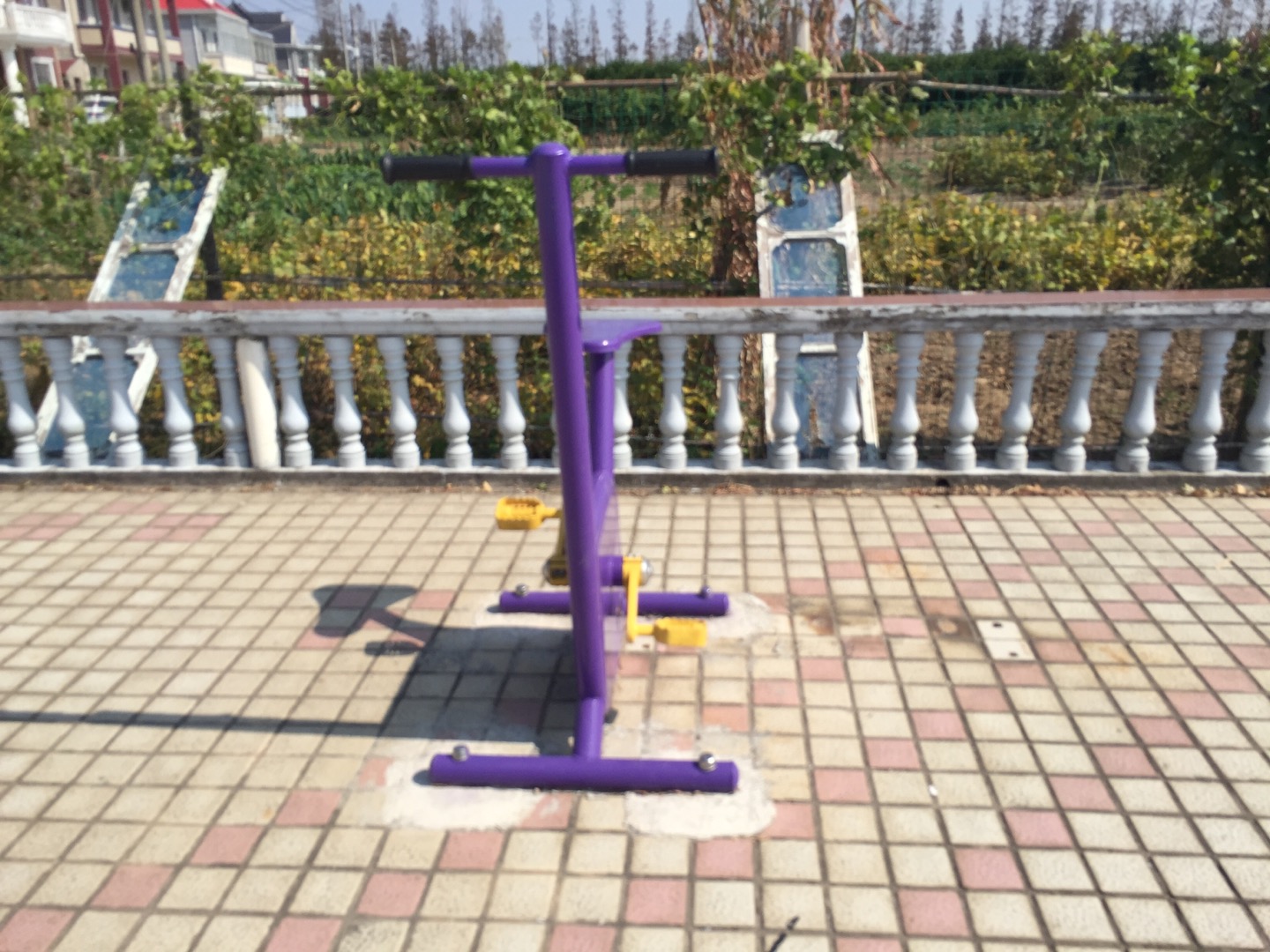 雙位健身車