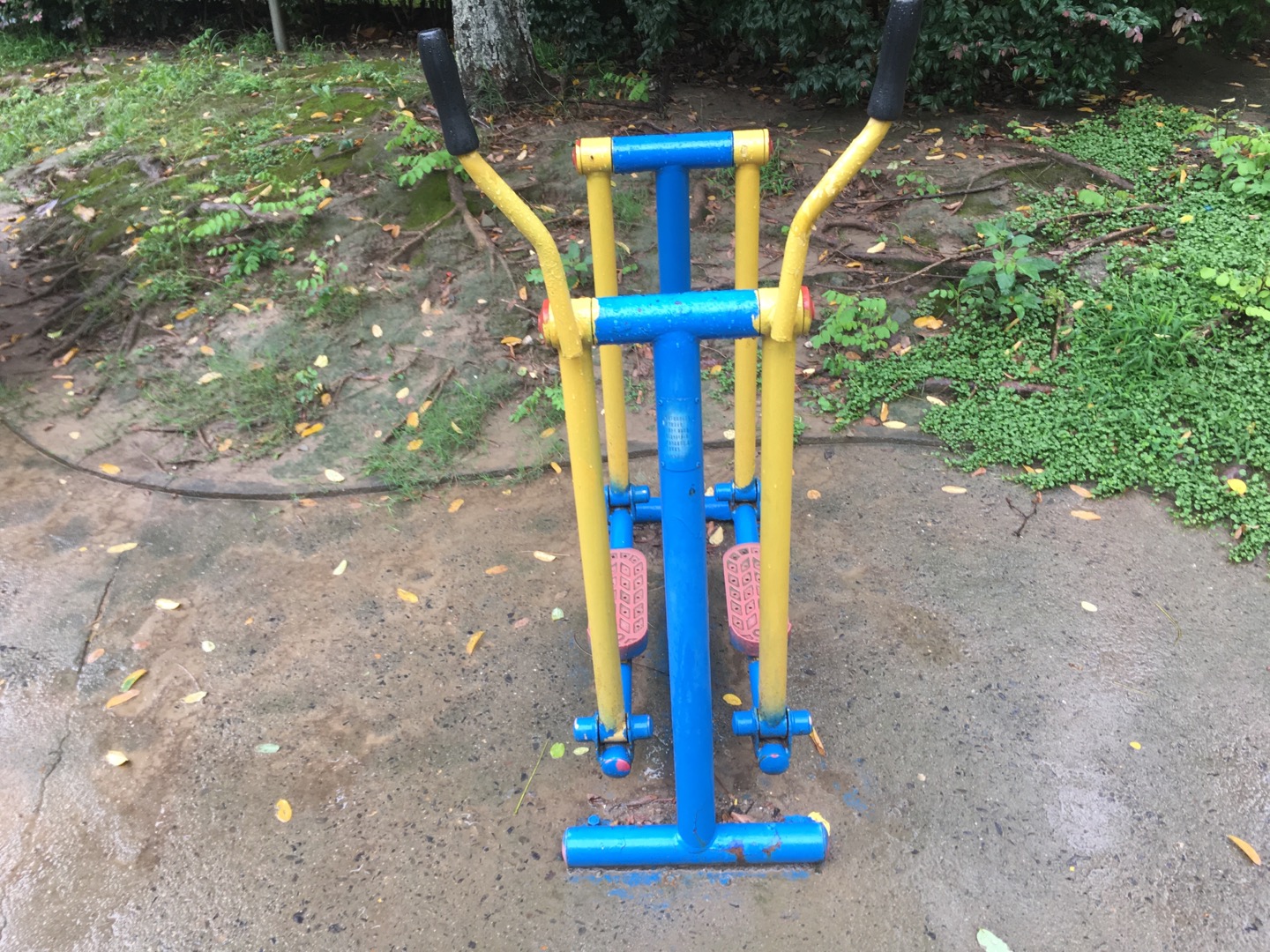 漫步器