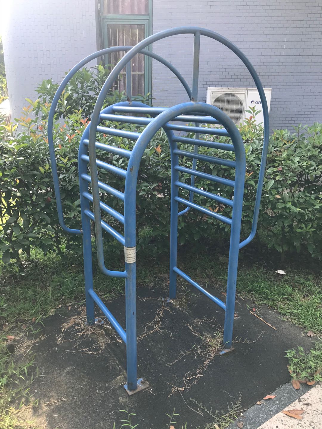 伸背機(jī)