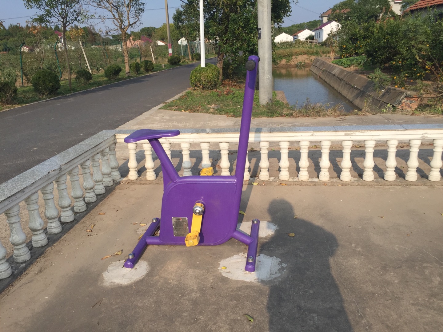 雙位健身車