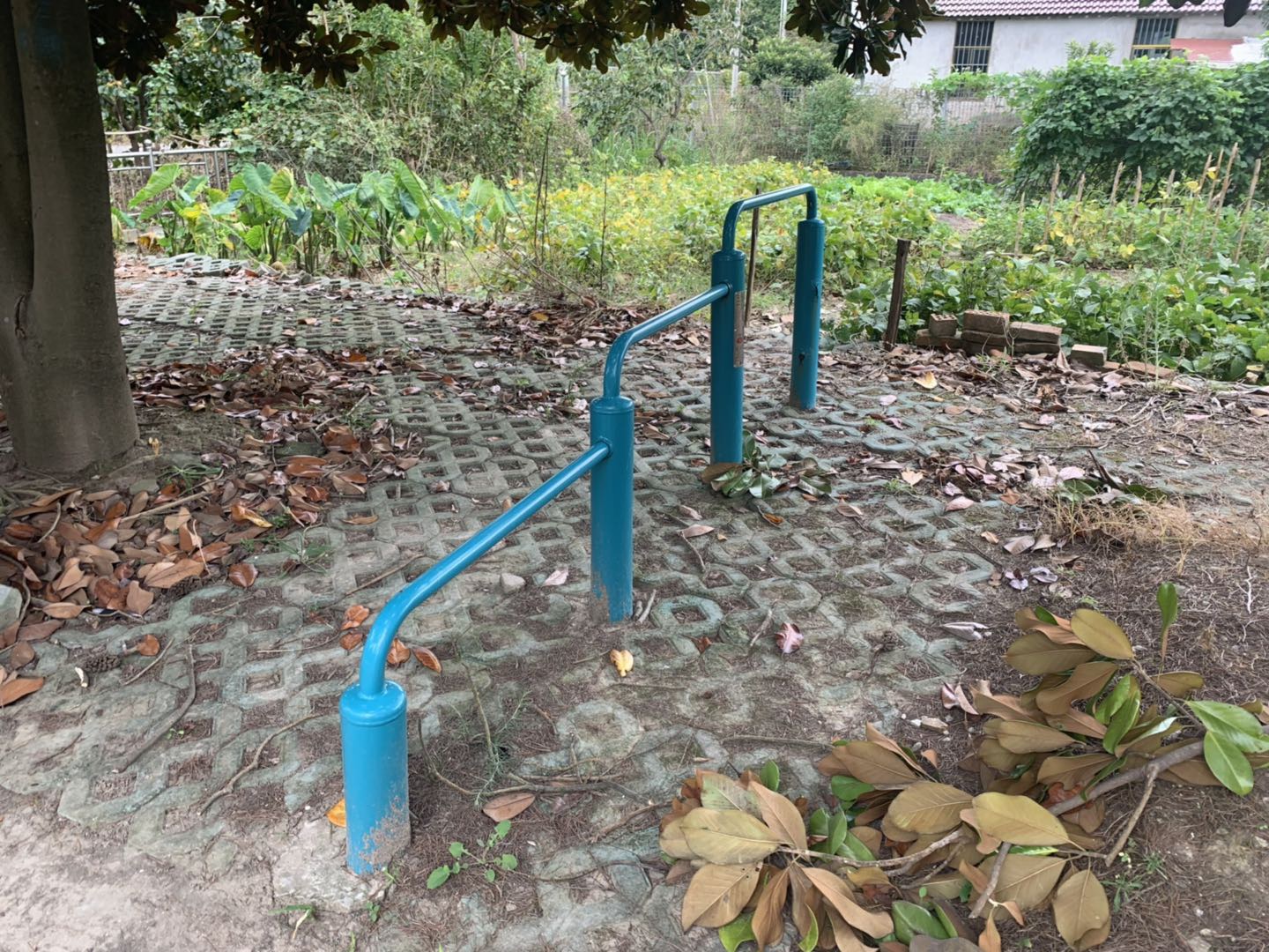 彈震壓腿器