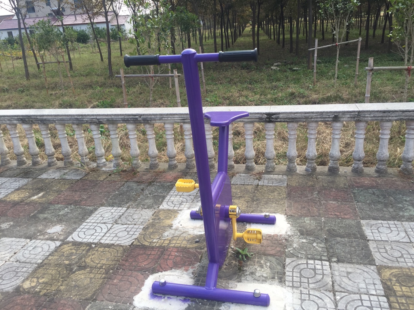 雙位健身車