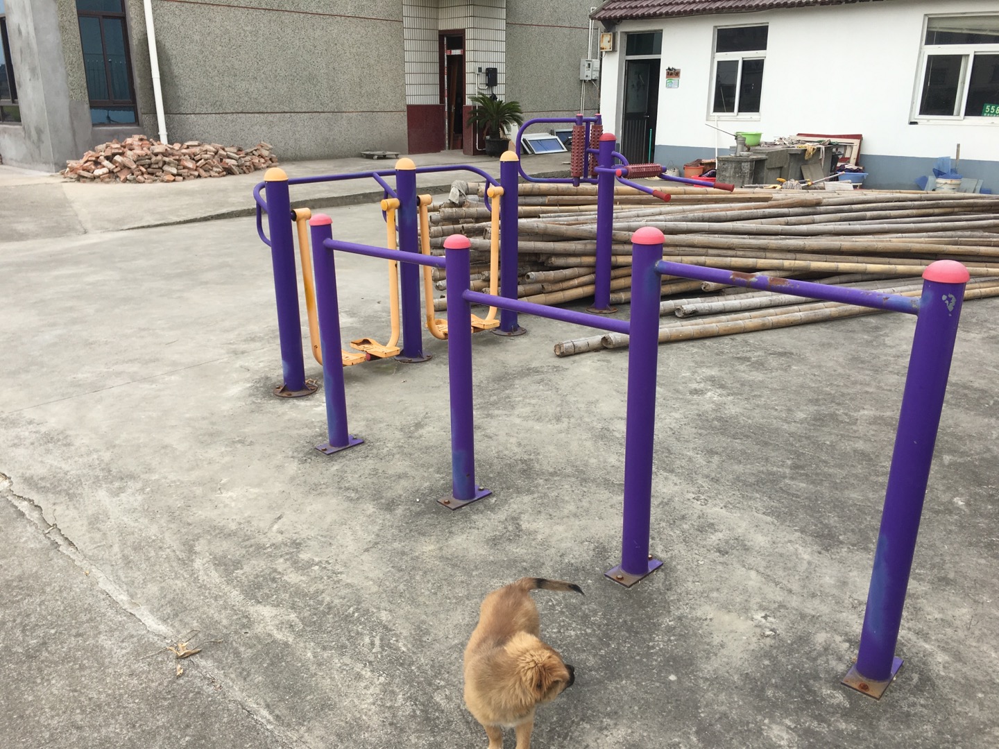 老港鎮(zhèn)建港村民委員會11組健身苑點(diǎn)