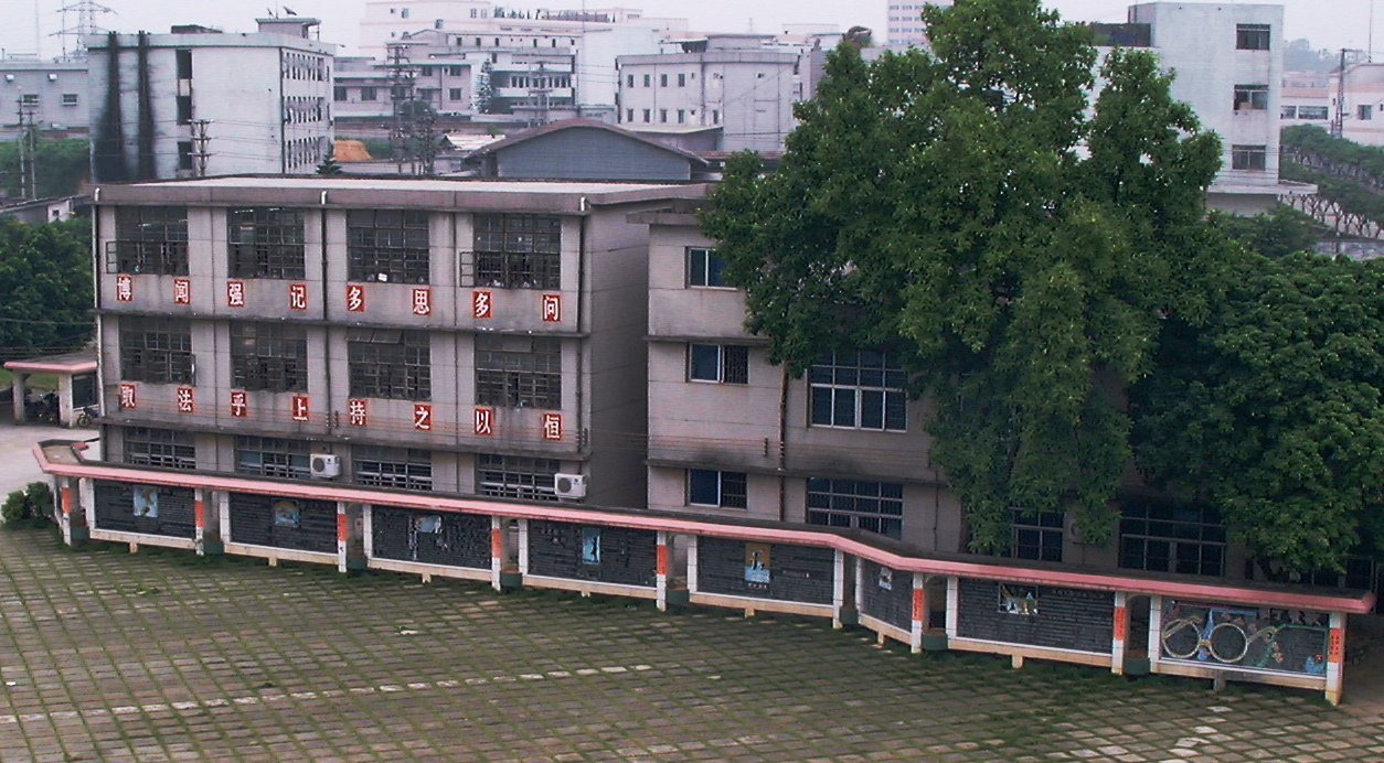 4b.JPG